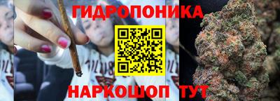 гашик Тверь