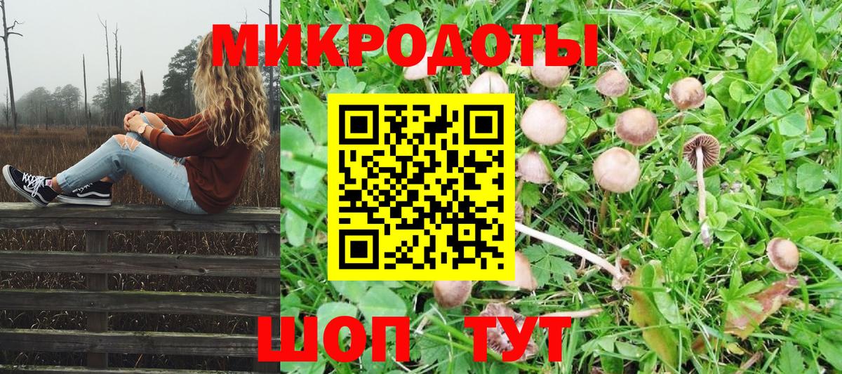 Псилоцибиновые грибы Psilocybe  Вход с VPN  Мыски 